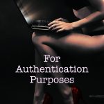 COVER REVEAL: For Authentication Purposes by Amber L. Johnson (@WhereIsJakeRyan)