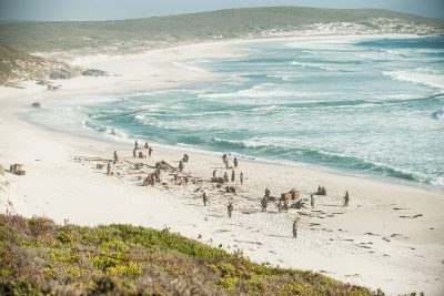 Black Sails New Providence Island