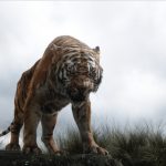 Disney's 'The Jungle Book' Coming to Digital HD & Blu-Ray in August