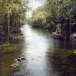 Disney's 'The Jungle Book' Coming to Digital HD & Blu-Ray in August