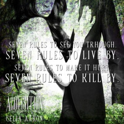 SPOTLIGHT: 'The Acquisition Series' by Celia Aaron