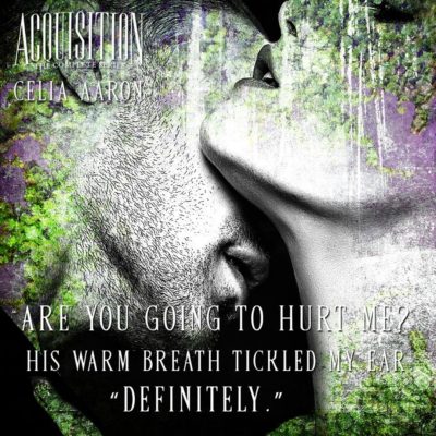 SPOTLIGHT: 'The Acquisition Series' by Celia Aaron