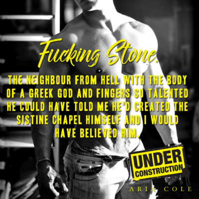 SPOTLIGHT: 'Under Construction' by Aria Cole