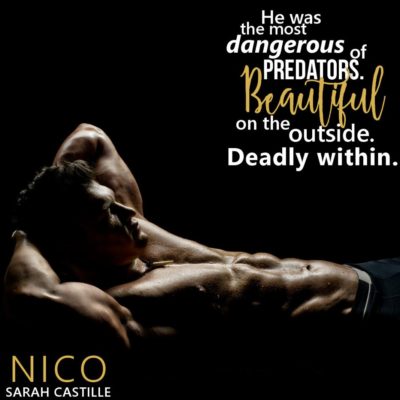 SPOTLIGHT: 'Nico' by Sarah Castille