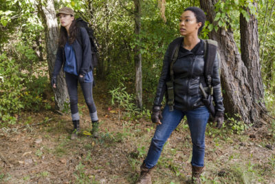 PREVIEW: 'The Walking Dead' Season Seven, Episode Fourteen, "The Other Side"
