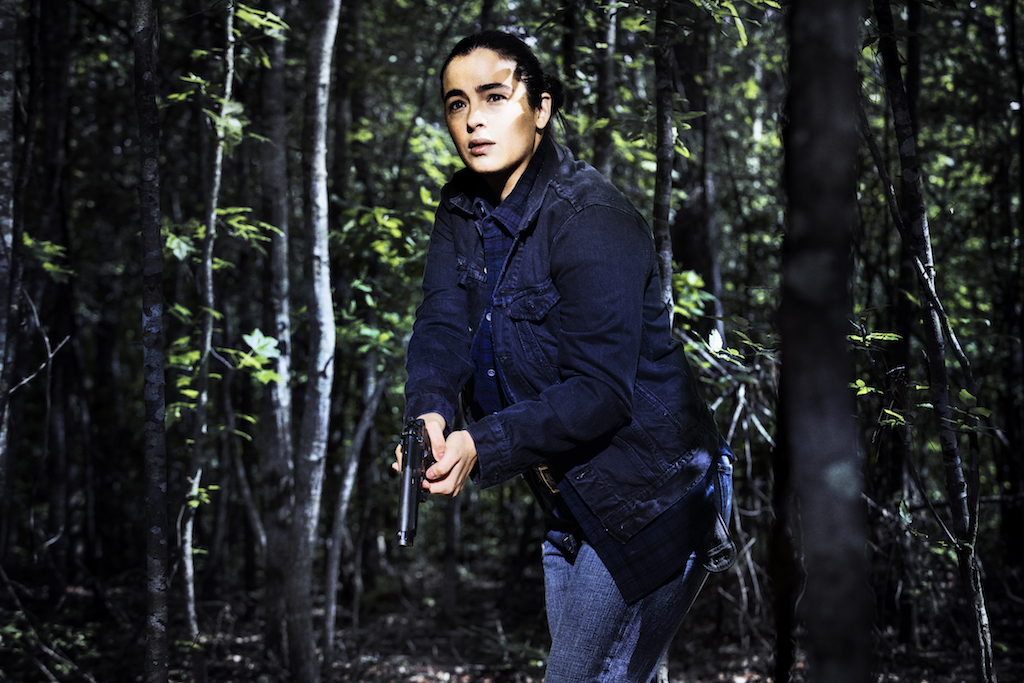 All Out War is Coming on 'The Walking Dead'. Here's What You Should Know About Season Eight!