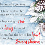 SPOTLIGHT: 'Second Chances' by T.M. Franklin