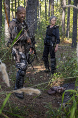 PREVIEW: 'The Walking Dead' Season Eight, Episode Fourteen "Still Gotta Mean Something"